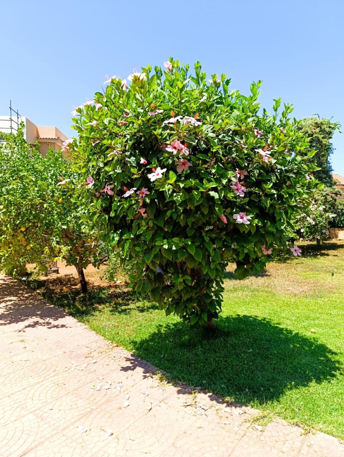 Garden House Mondello Palermo Villa Екстериор снимка