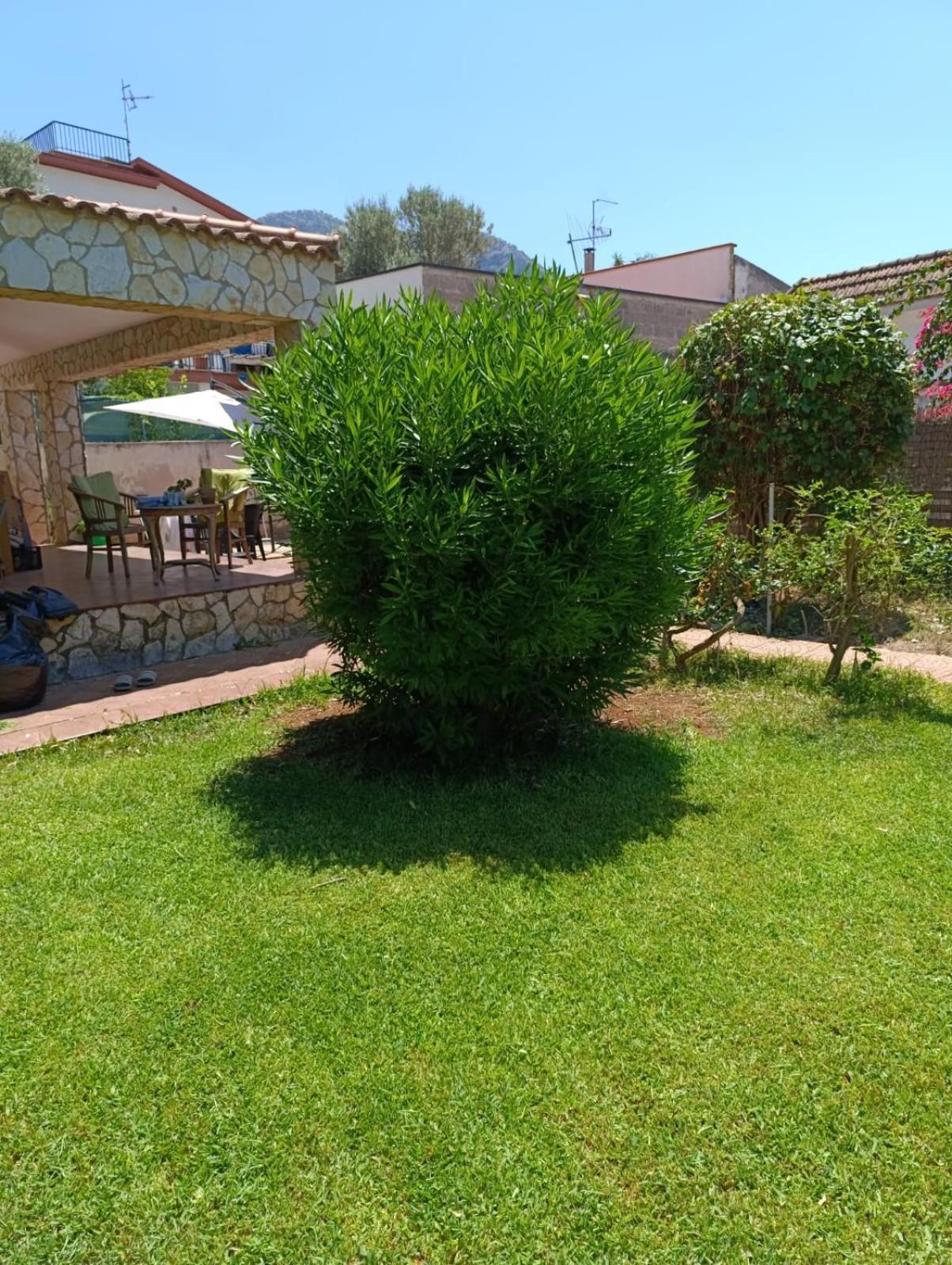 Garden House Mondello Palermo Villa Екстериор снимка